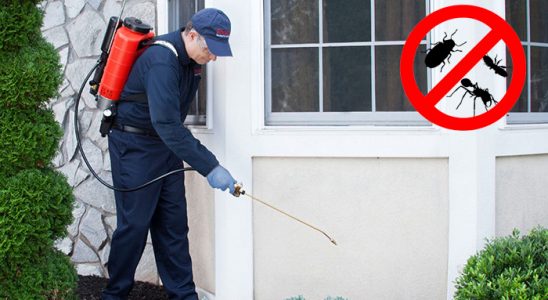 Köprüköy Tahtakurusu İlaçlama böcek ilaçlama ve haşere kontrolü — ilaclama-tr.com